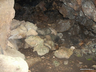 conco di Liricio-24-03-2013 10-34-09